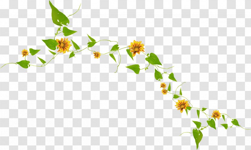 Flower Wreath Twig Garland - Elements Transparent PNG