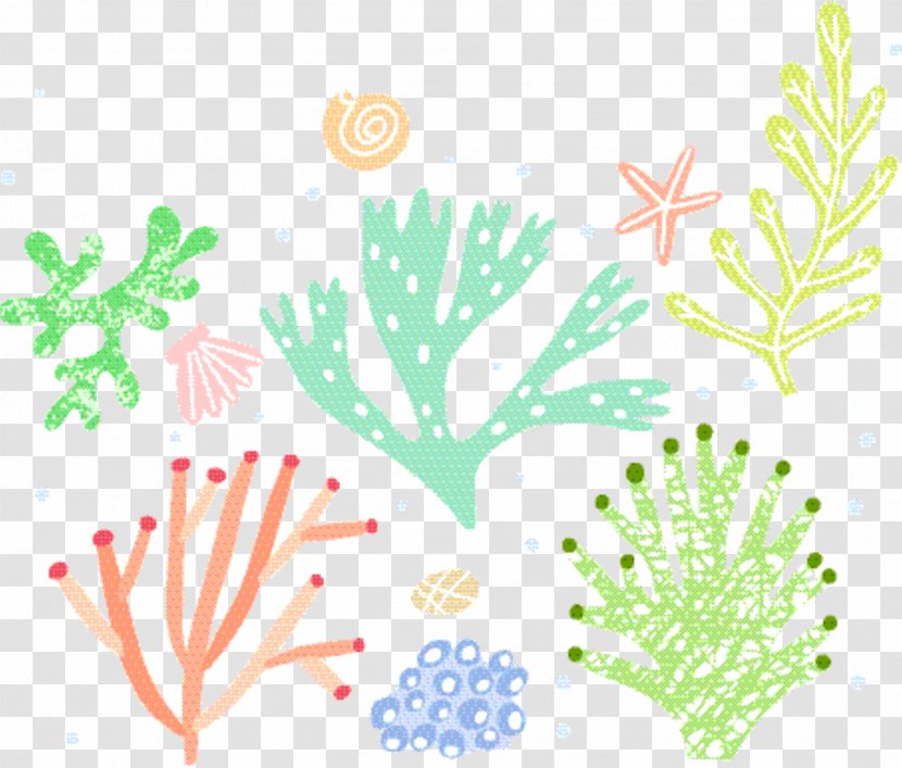 Coral Reef Background - Branching - Art Plant Transparent PNG
