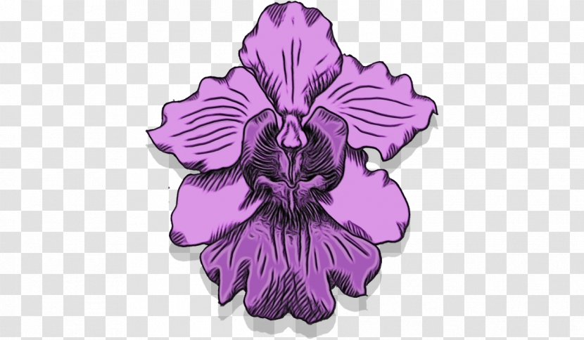 Violet Purple Flower Plant Petal - Magenta - Hawaiian Hibiscus Transparent PNG