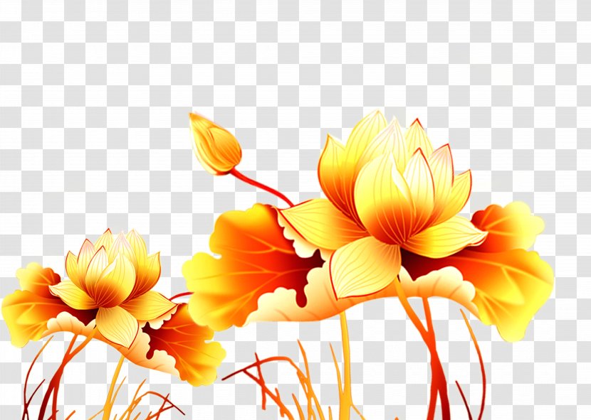 Shijiazhuang Tangyuan Nelumbo Nucifera - Orange - Beautiful Lotus Effect Element Transparent PNG