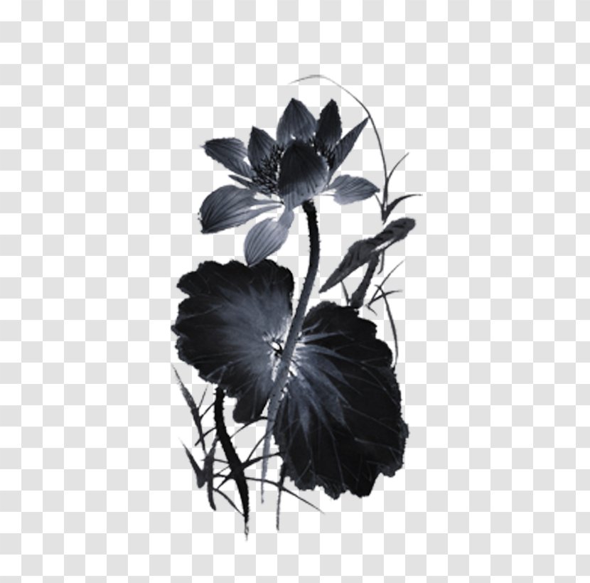 Ink Wash Painting Nelumbo Nucifera - Lotus Transparent PNG