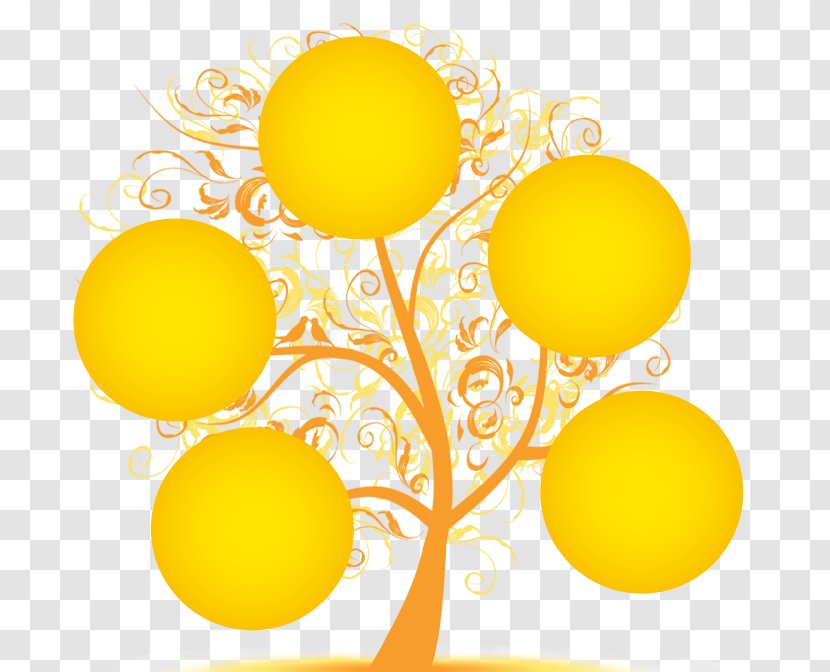 Yellow Font Line Meter - Orange - Plant Sphere Transparent PNG