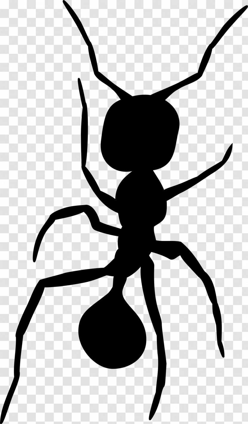 Ant Insect Silhouette Clip Art - Queen - Ants Transparent PNG