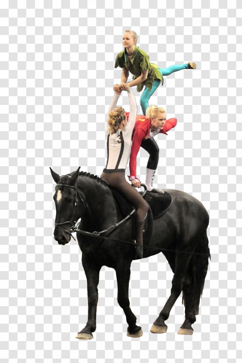 Horse Tack Equestrian Vaulting Rein - Hook Transparent PNG