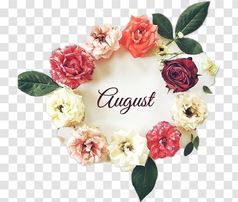 Month Tranquility Day Spa August Image 0 - Rose Order - Agosto Sign Transparent PNG