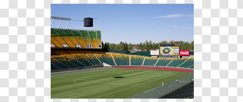 Commonwealth Stadium 2015 FIFA Women's World Cup 1978 Games Soccer-specific - Football Transparent PNG