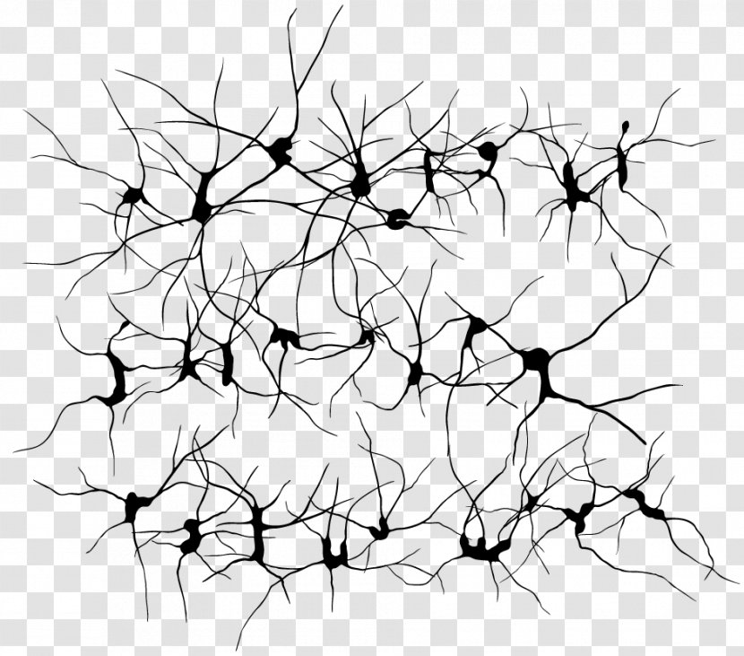 Neuron Clip Art - Black - Neurons Transparent PNG