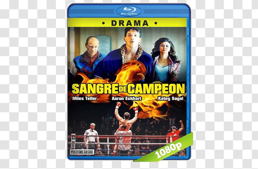 Hollywood Film Actor Streaming Media Boxing Transparent PNG
