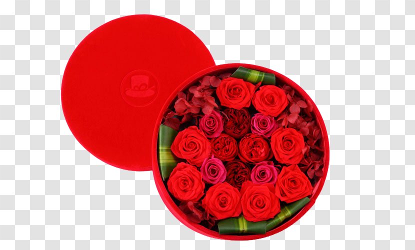 Garden Roses Beach Rose Flower Gift - Cut Flowers - Big Red Gifts Transparent PNG