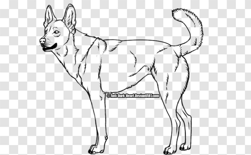 Dingo Golden Retriever Puppy Drawing Coyote - Line Art Transparent PNG