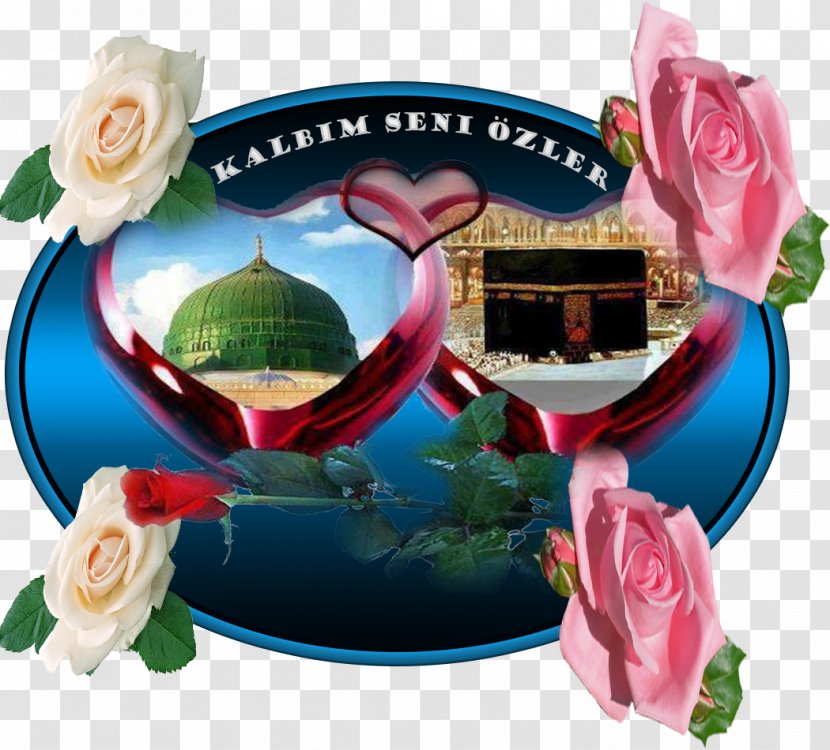 Garden Roses Mecca Television - Rose Transparent PNG