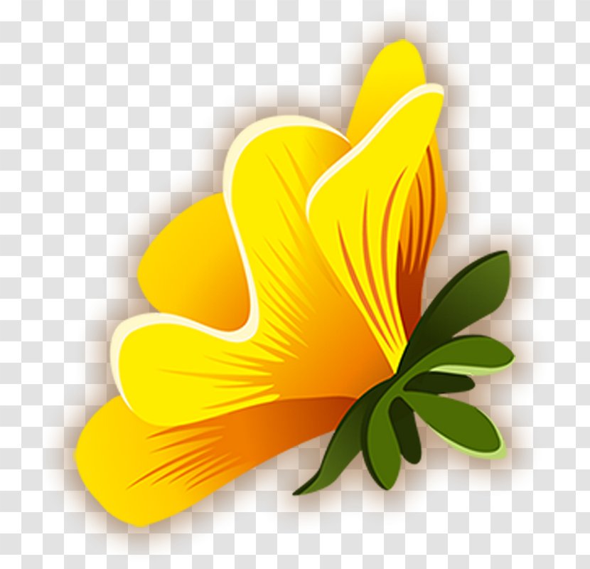 Common Hibiscus Yellow - Flower - 무궁화 Transparent PNG