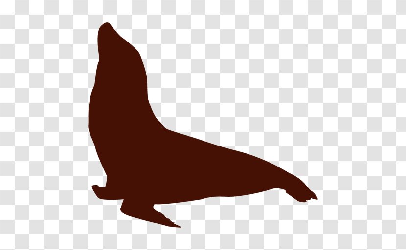 Sea Lion Walrus Earless Seal Silhouette - Seals Transparent PNG