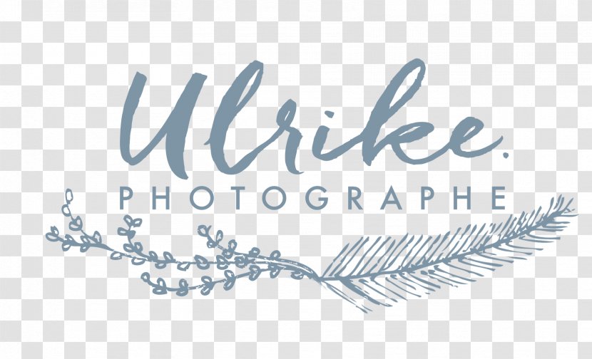 Ulrike Photographe Wedding Photography Photographer Marriage Transparent PNG