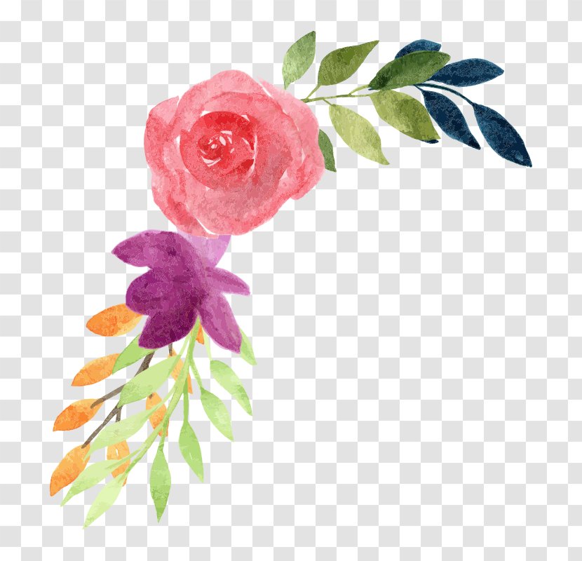 Watercolor Pink Flowers - Petal - Paint Plant Stem Transparent PNG