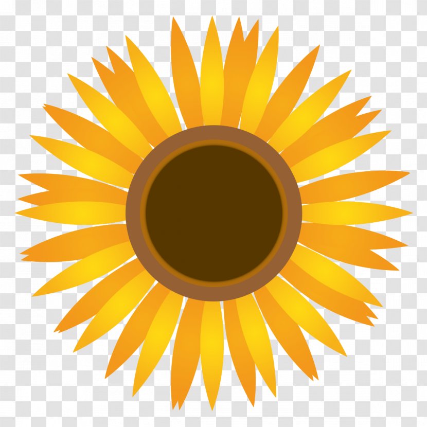 Common Sunflower Clip Art - Daisy Family - Draw Transparent PNG