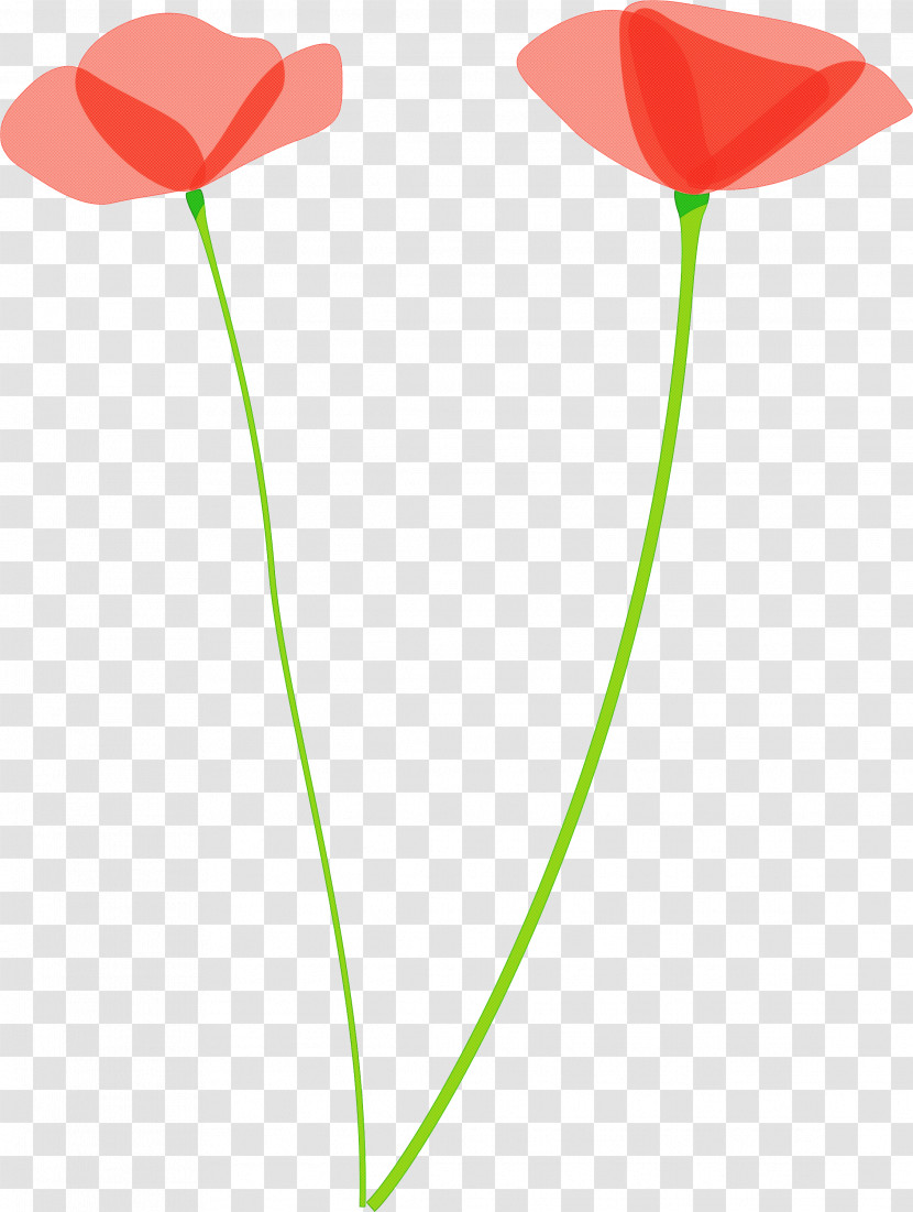 Poppy Flower Transparent PNG