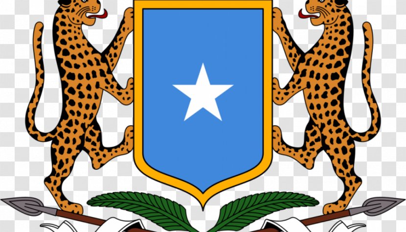 Somaliland Villa Somalia Embassy Of Federal Government Flag - Big Cats Transparent PNG
