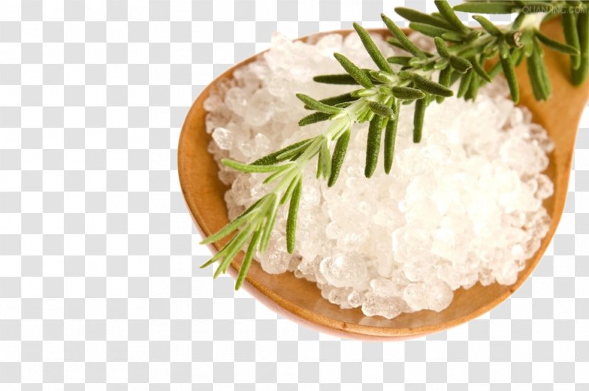 Sea Salt Food - Leaves Transparent PNG