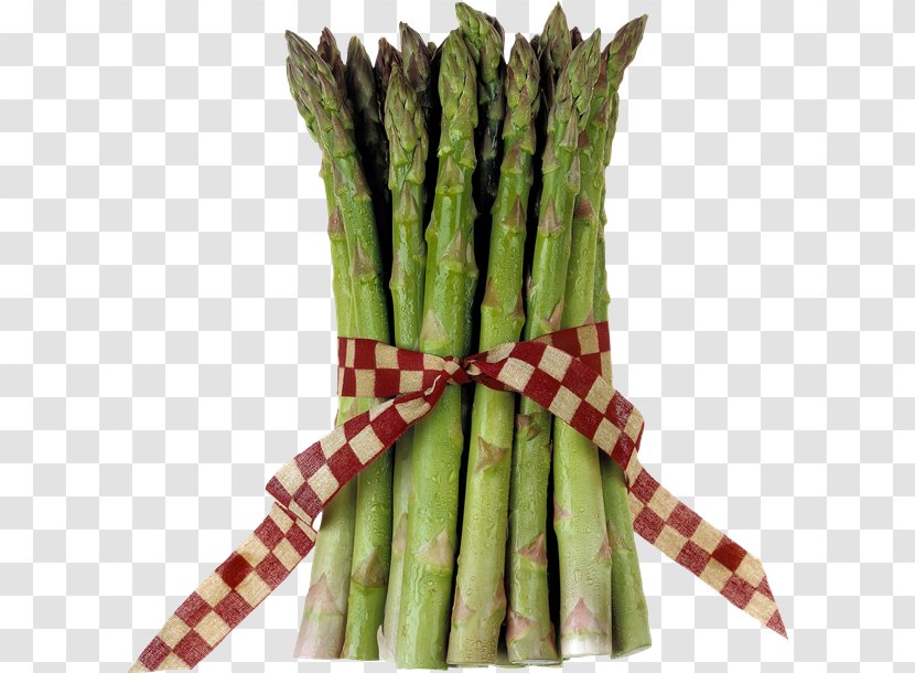 Asparagus Vegetable Health Folate Food - Photography Transparent PNG
