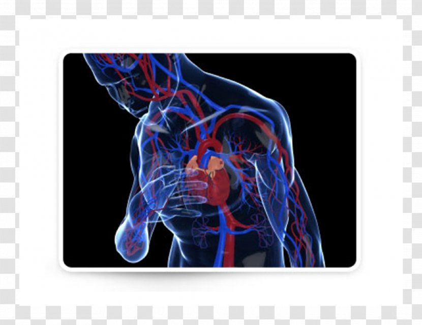 Heart Arrhythmia Myocardial Infarction Cardiac Arrest Cardiology - Cartoon Transparent PNG