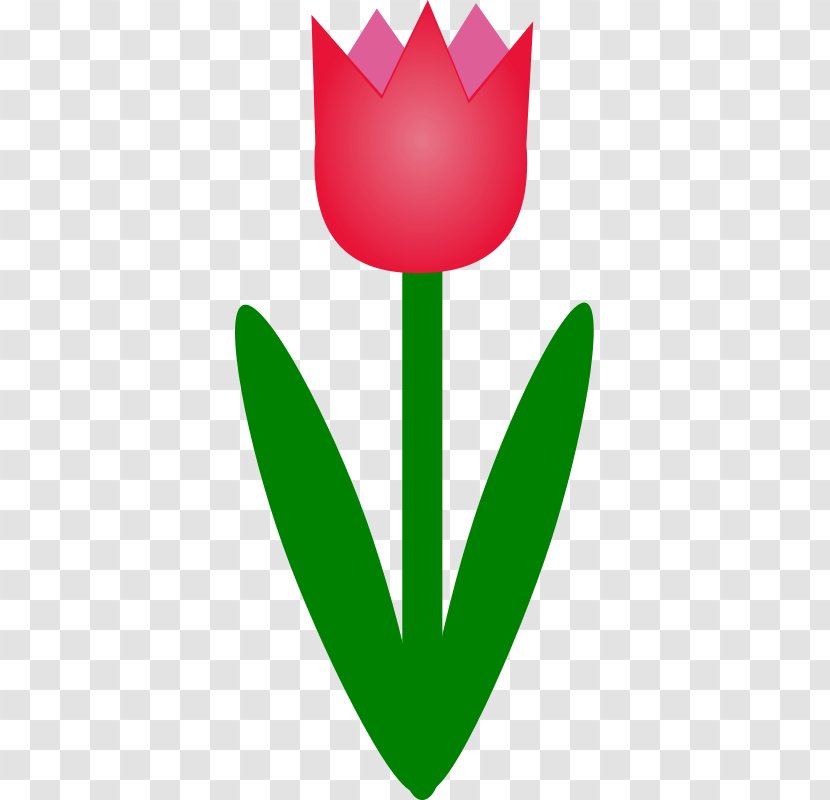 Flower Drawing Free Content Clip Art - Tulip - Simple Cliparts Transparent PNG