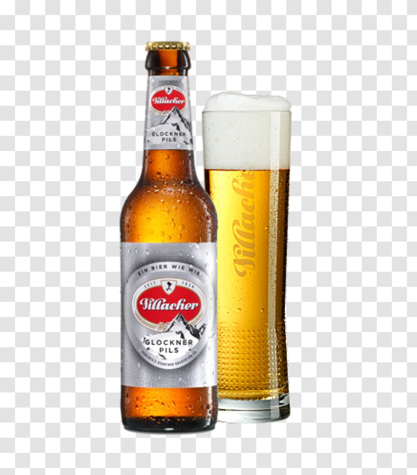 Lager Wheat Beer Pilsner Ale - Ice Transparent PNG