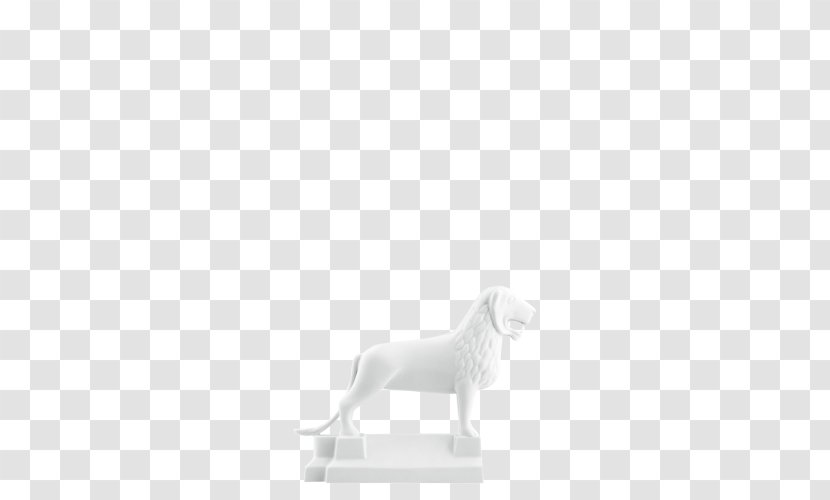 Cat Brunswick Lion Dog White Shoe - Small To Medium Sized Cats Transparent PNG