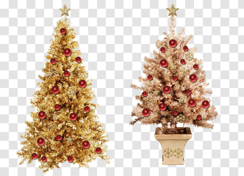 New Year Tree Christmas Day Santa Claus - Pine Transparent PNG
