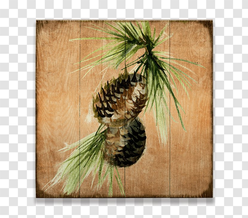 Pine Cone Design Conifer Art - Grass Family - Butte Transparent PNG
