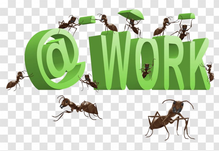 Ants At Work Royalty-free Clip Art - Royaltyfree - The Letter Carries Transparent PNG
