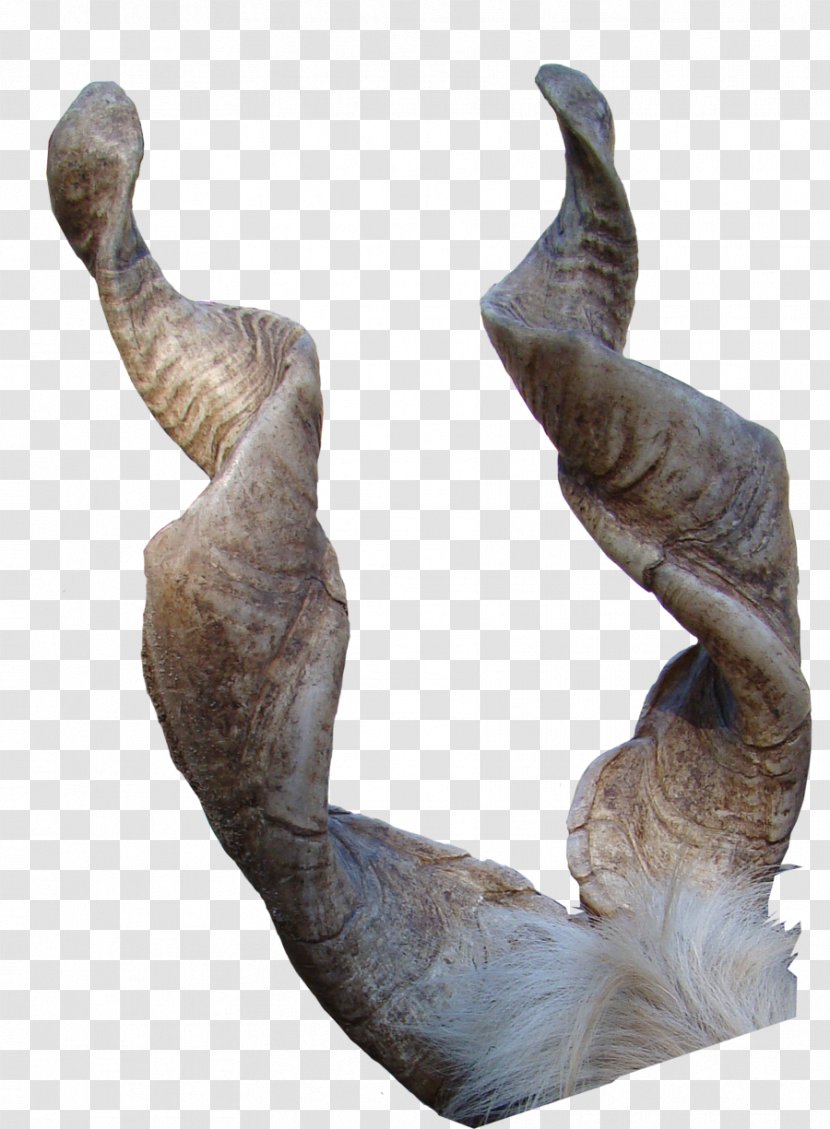 Girgentana Sign Of The Horns Antler - Goat Transparent PNG