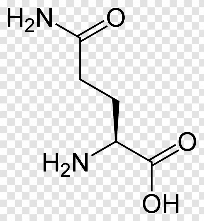Aspartic Acid Amino Lysine Glutamic Arginine - Chemistry - Skeletal Muscle Transparent PNG