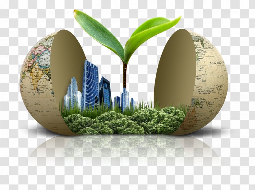 Green Building Environmentally Friendly Material - Grass - Egg In The World. Transparent PNG