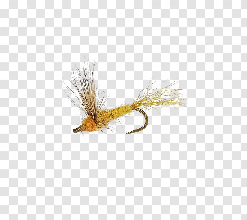 Fly Fishing Hackles Sulfur Artificial Transparent PNG