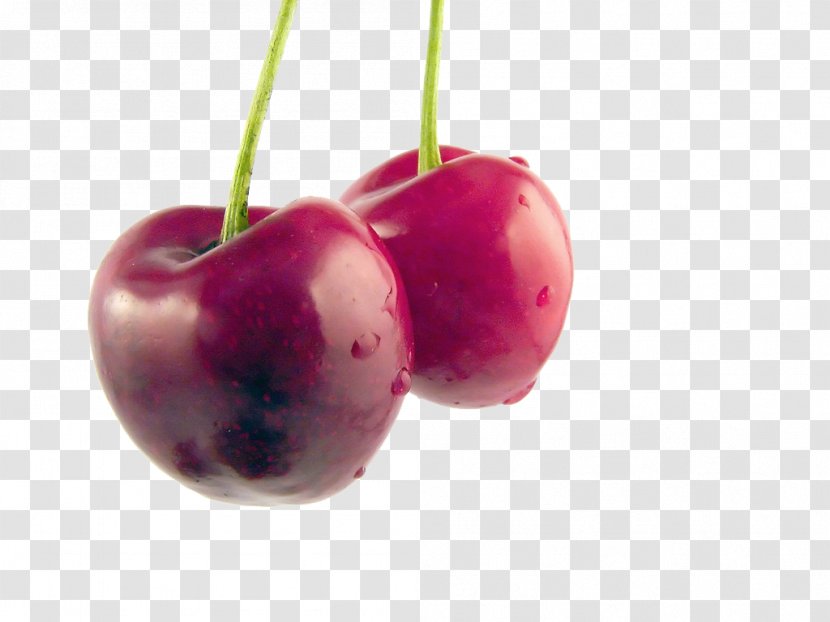 Sour Cherry Fruit Auglis Health - Amorodo - Physical Map Transparent PNG