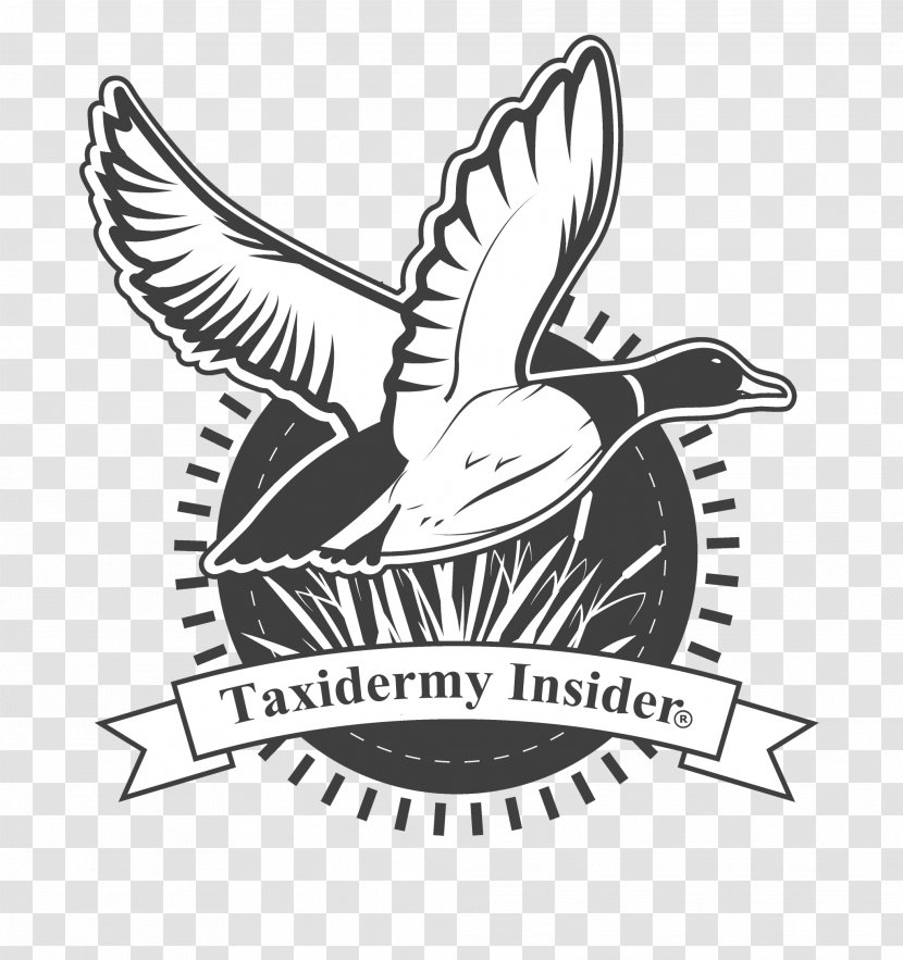 Waterfowl Hunting Duck Cocker Spaniel Deer - Symbol Transparent PNG