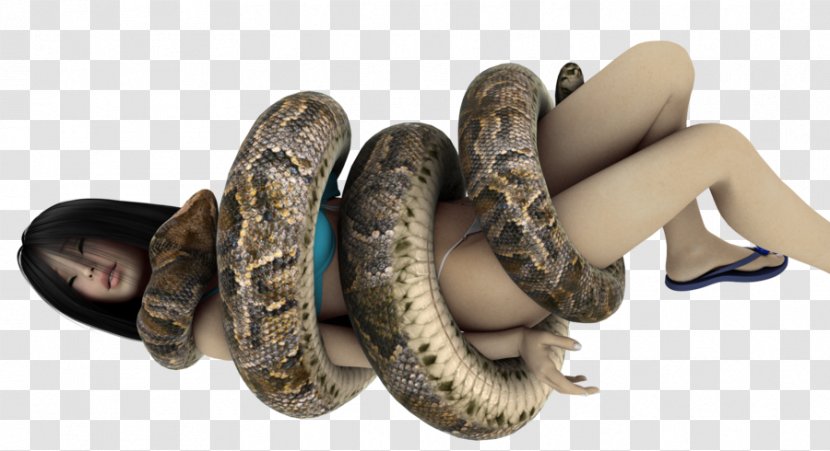 DeviantArt Snake Giant Anaconda Digital Art - Tree Transparent PNG