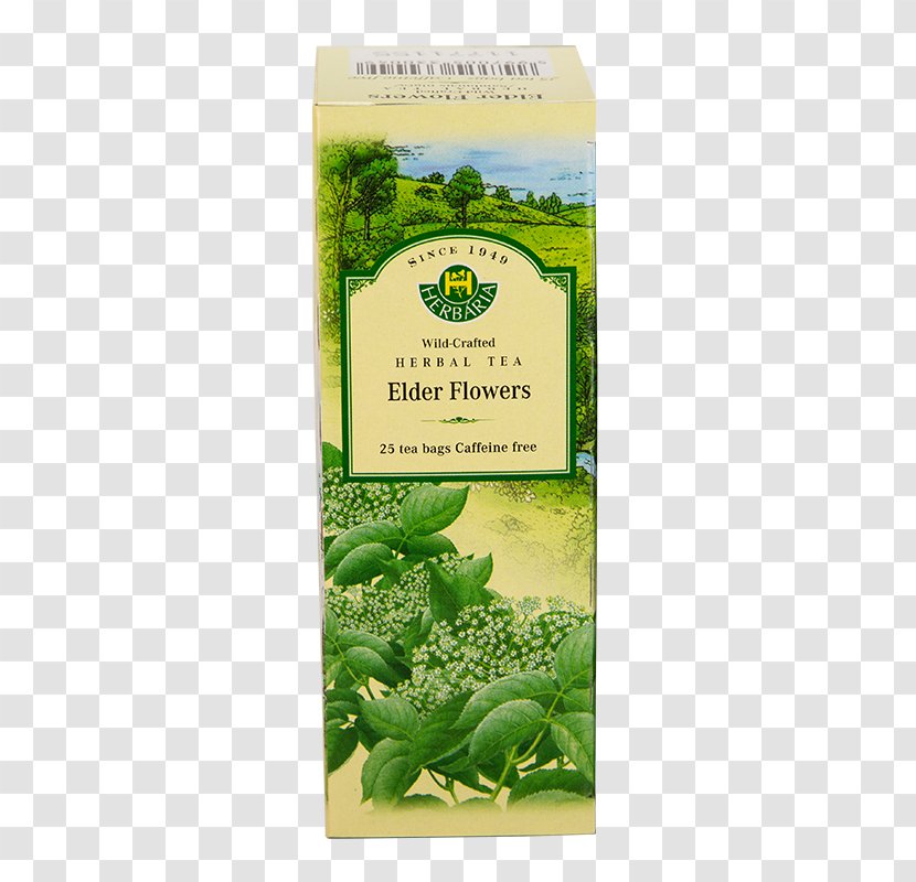 Flowering Tea Herbal Bag - Grass - Sambucus Nigra Transparent PNG