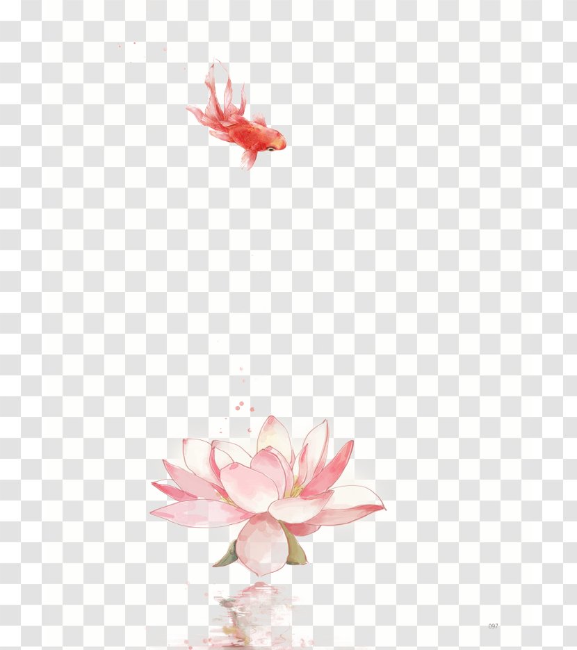 Nelumbo Nucifera Flower Water Lily Drawing Chinese Art - Cut Flowers - Lotus Goldfish Transparent PNG