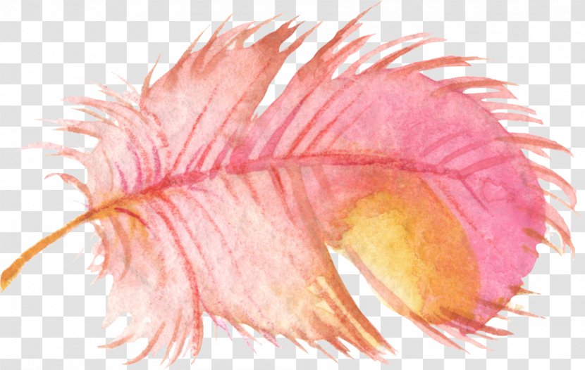 Bird Feather Watercolor Painting Clip Art - Close Up - Pink Feathers Transparent PNG