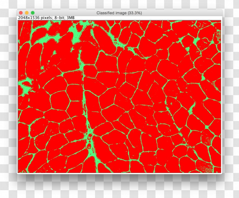 Sholl Analysis ImageJ Information Image - Red - Cell Transparent PNG