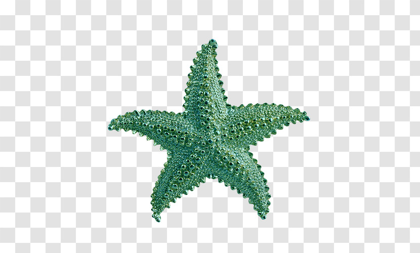 Machine Embroidery Starfish Transparent PNG