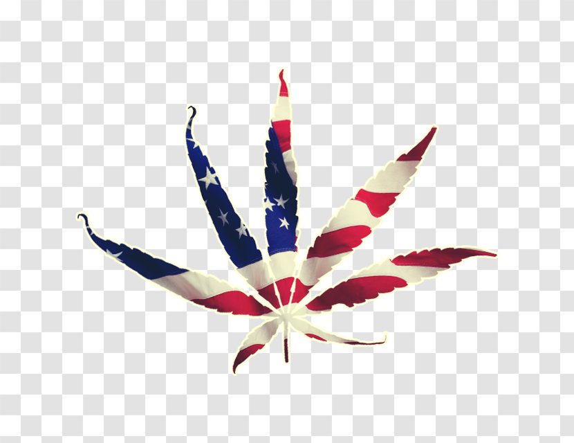 Cannabis Flag Of The United States Leaf - Haze - American Transparent PNG