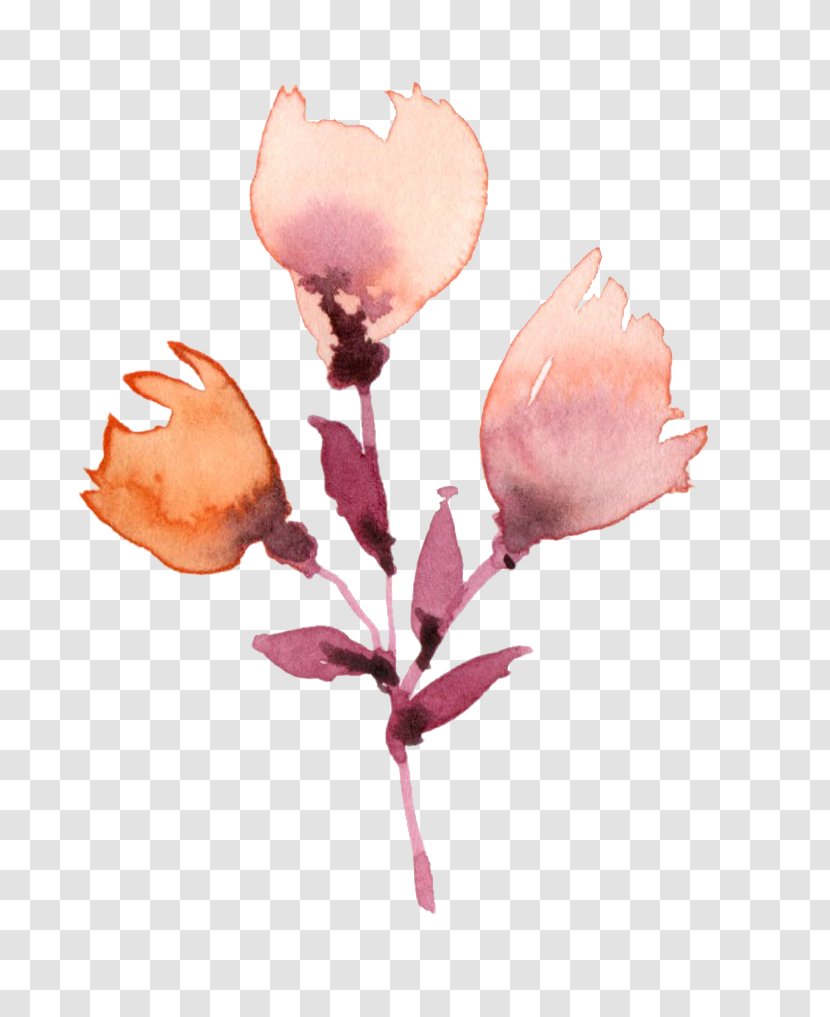 Plant Watercolor Painting Flower Drawing - Flowering - Flowers Transparent PNG