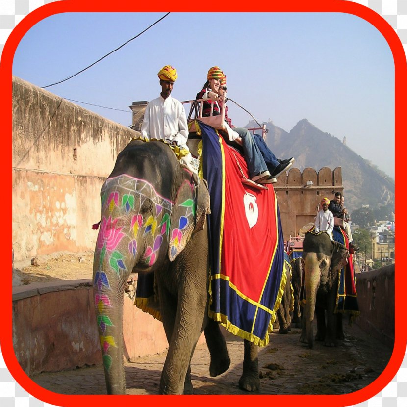 Sonepur Cattle Fair Elephantidae Rajasthan Travel Ganesha - Middle Ages - Camel Like Mammal Transparent PNG