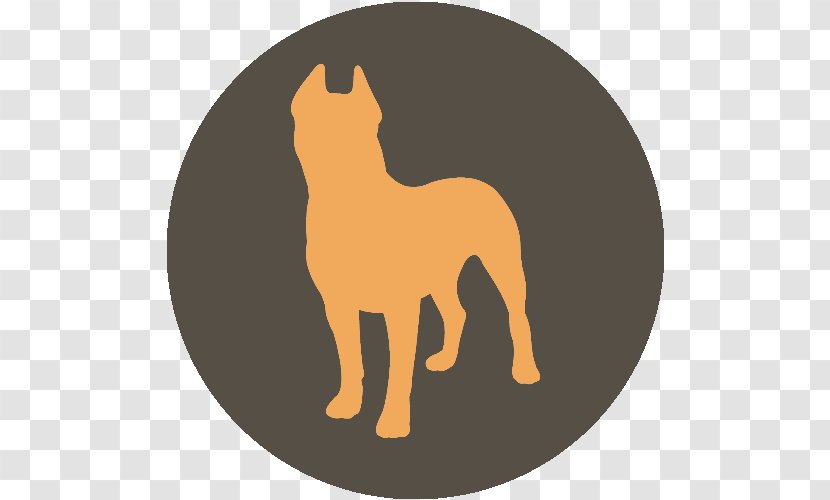 Cat Dog Lion Tapetum Lucidum - Tail Transparent PNG