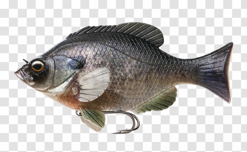 Fishing Baits & Lures Scortum Barcoo Swimbait - Fish Body Transparent PNG