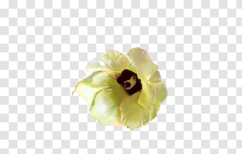 Flat-leaved Vanilla Flower Yellow Blossom Petal - Seed - Okra Transparent PNG