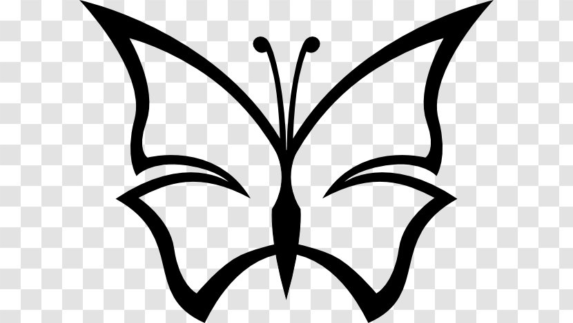 Butterfly Drawing Clip Art - Invertebrate - Line Lotus Transparent PNG